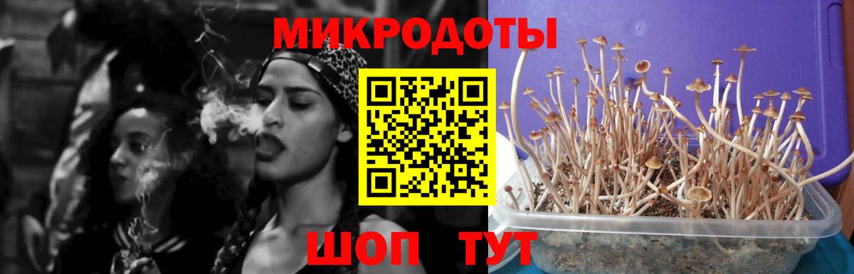 Псилоцибиновые грибы Magic Shrooms Барабинск